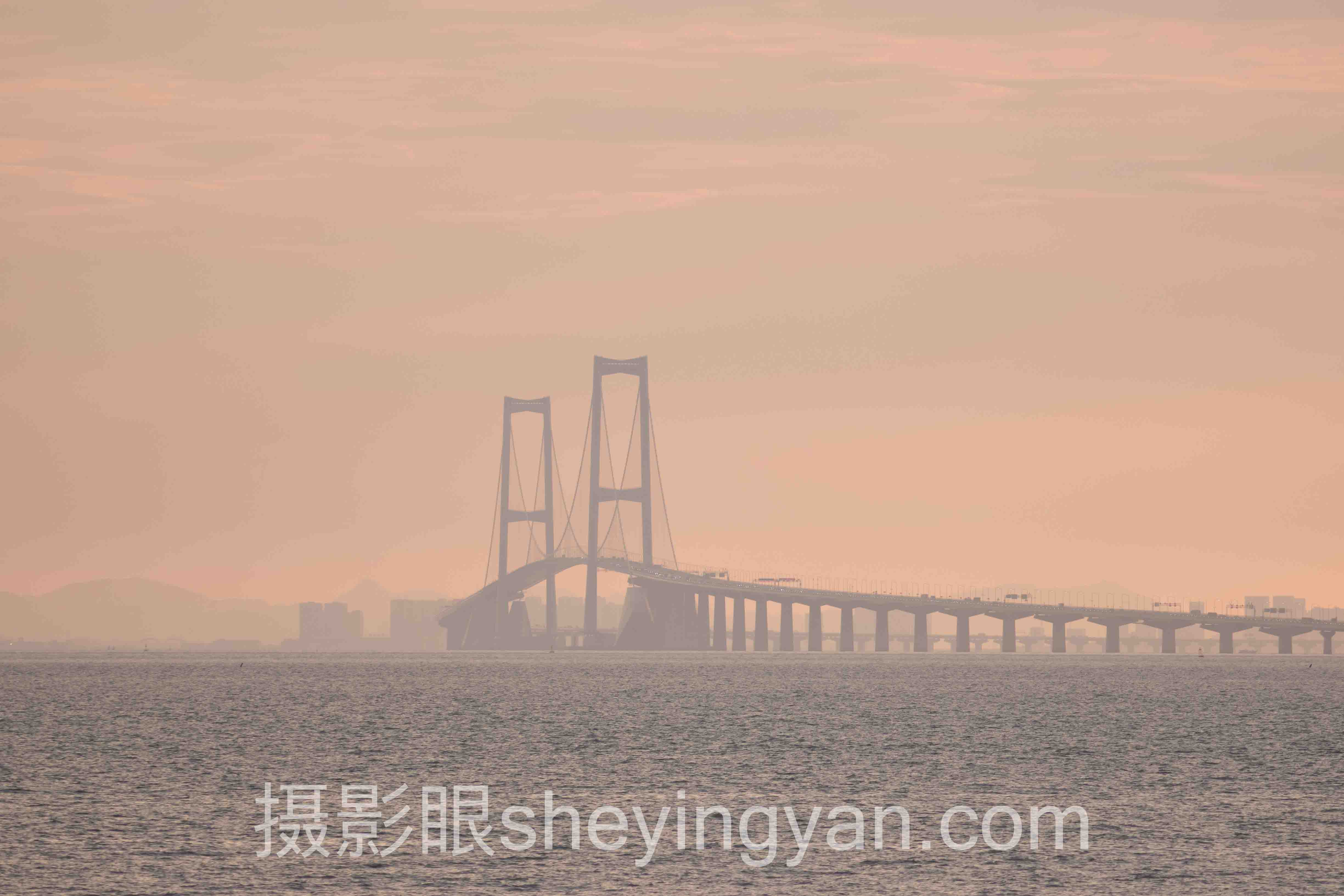 摄影学习需要什么设备实战案例拆解：3个成功实践的共同规律