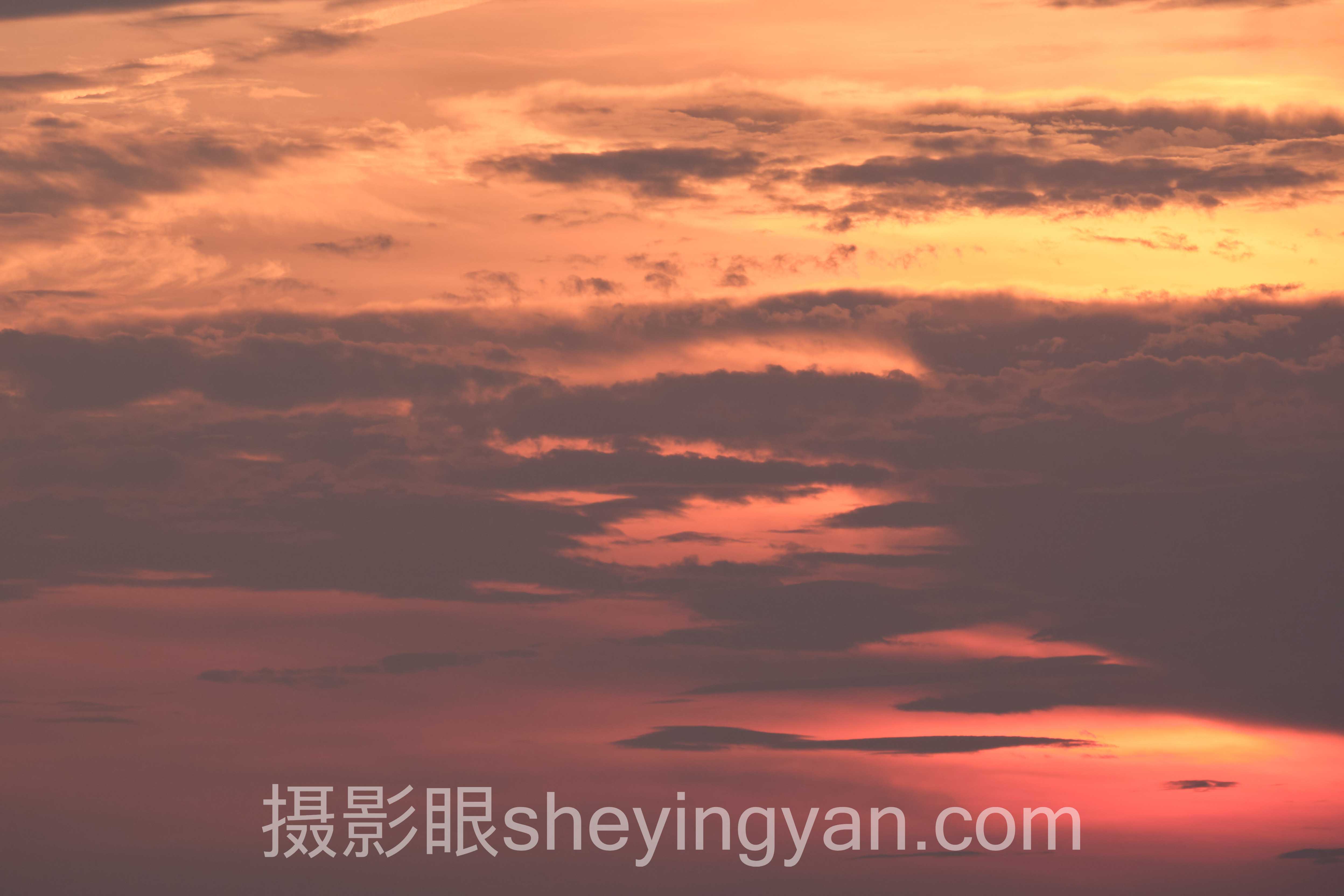 2024如何练成摄影眼官网深度评测：5种选择全面解析