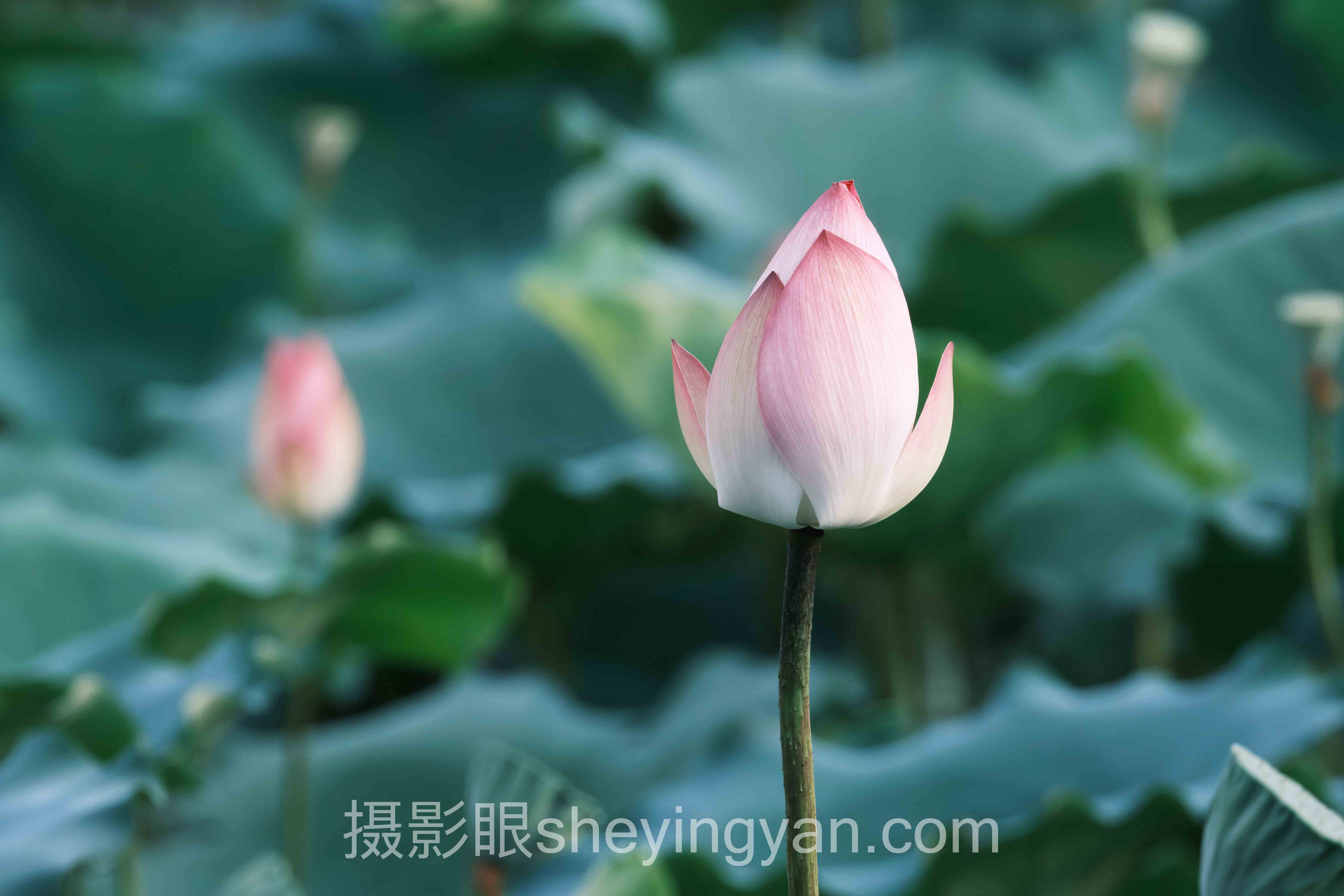 框架构图在哪找框架全景解读：问题根源与破局之道