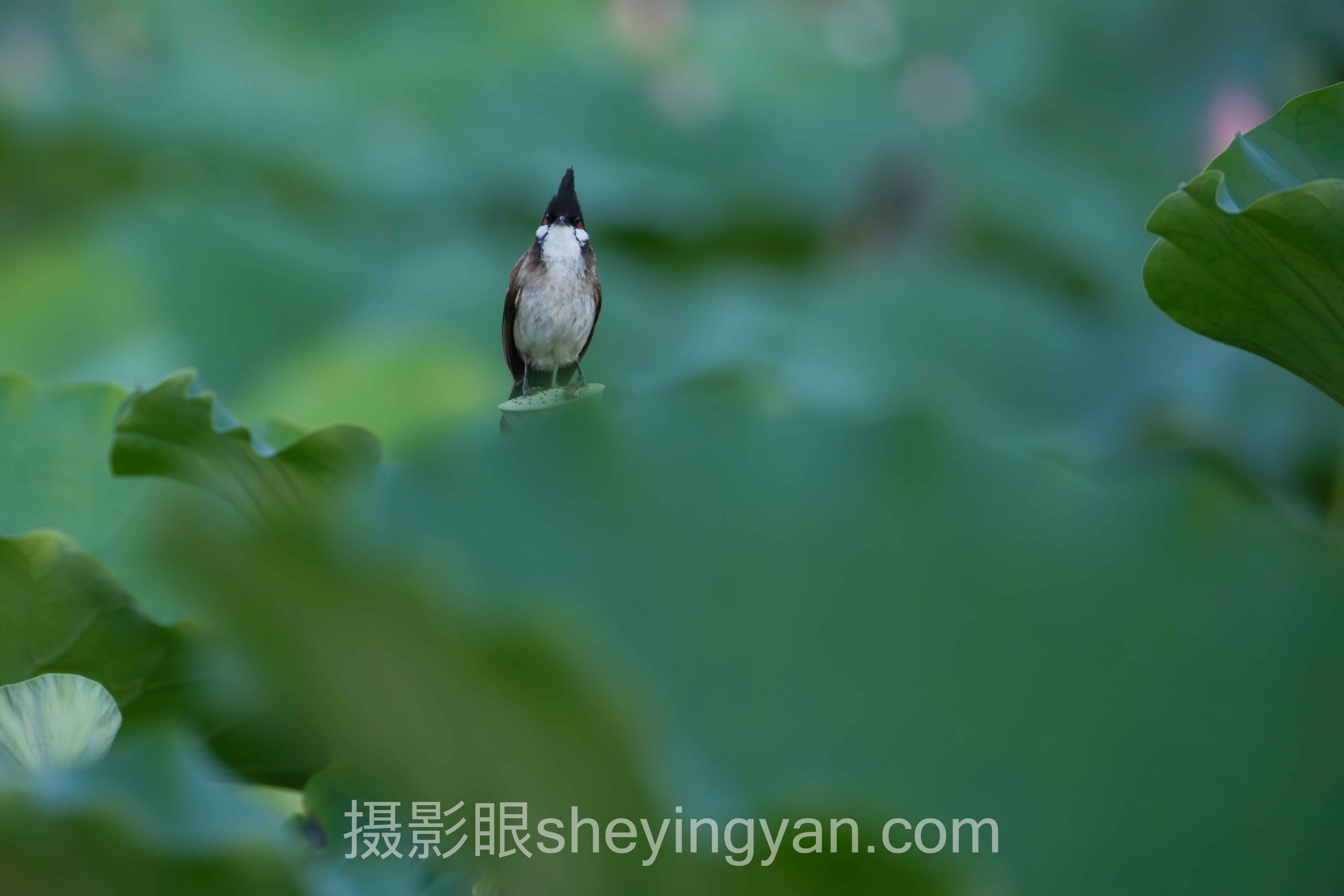 相机拍视频过热怎么办?3个案例告诉你答案