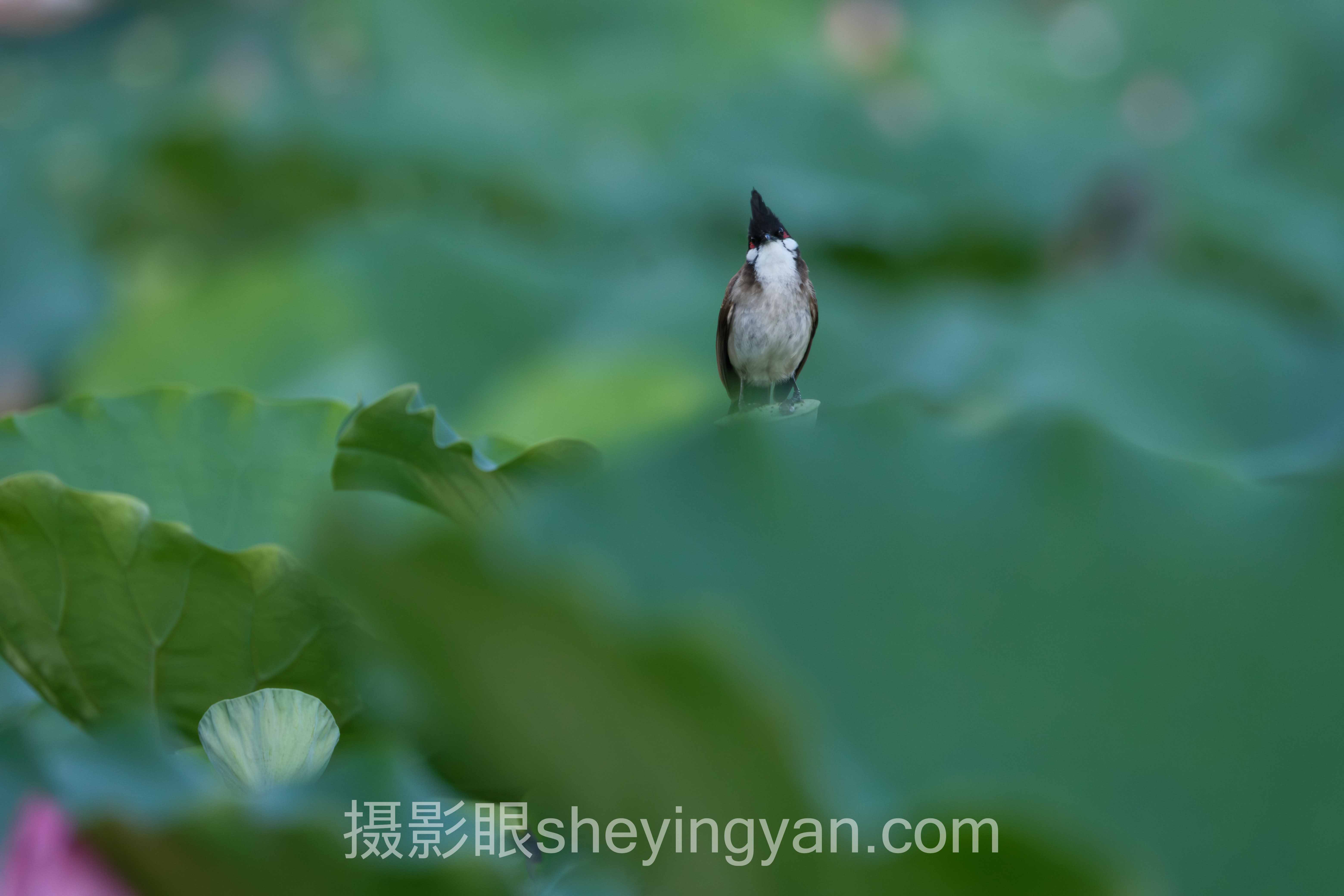 风光摄影眼养成背后的真相：多数人练错了方向