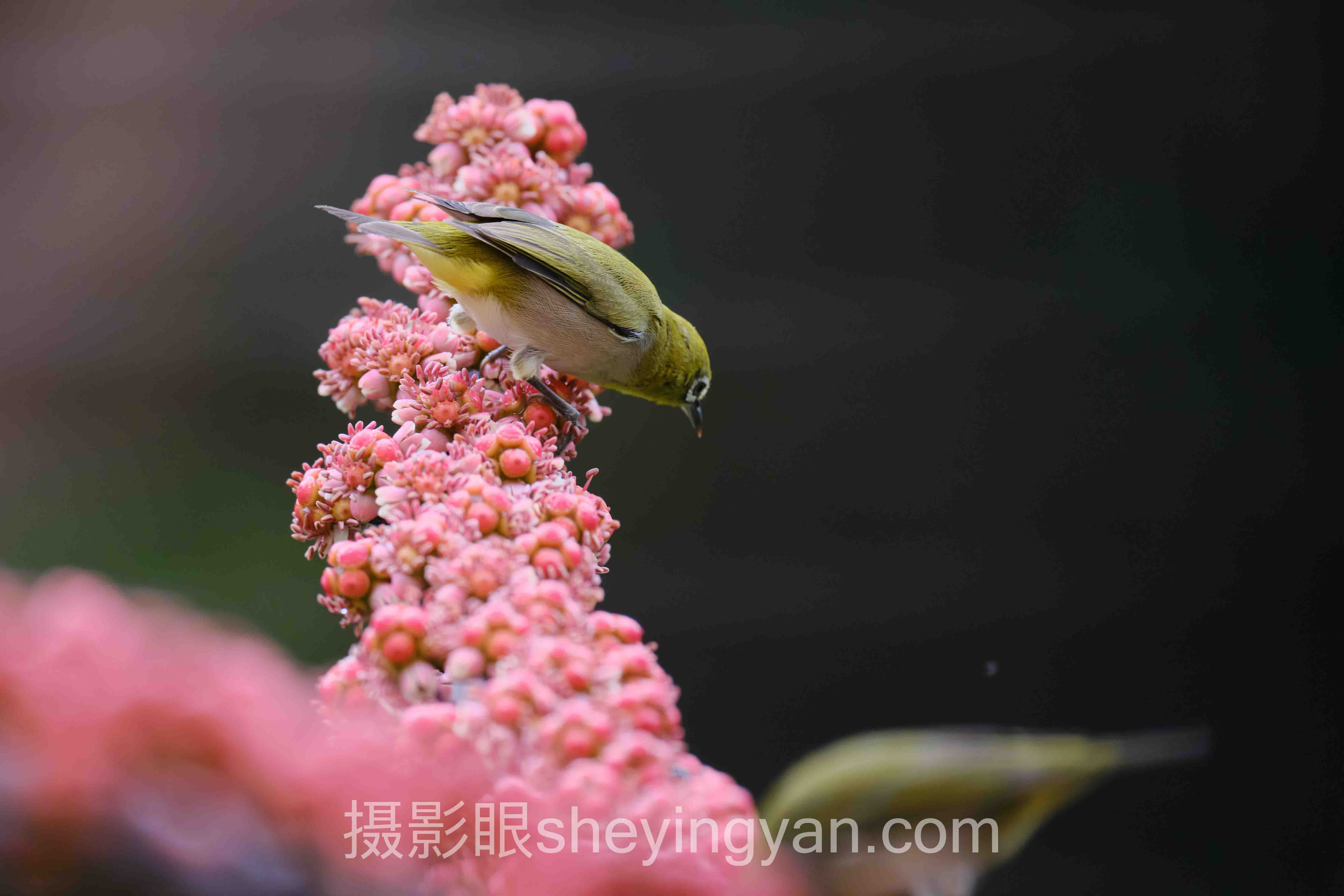 专家深度解读:构图太空怎么办的机遇与挑战