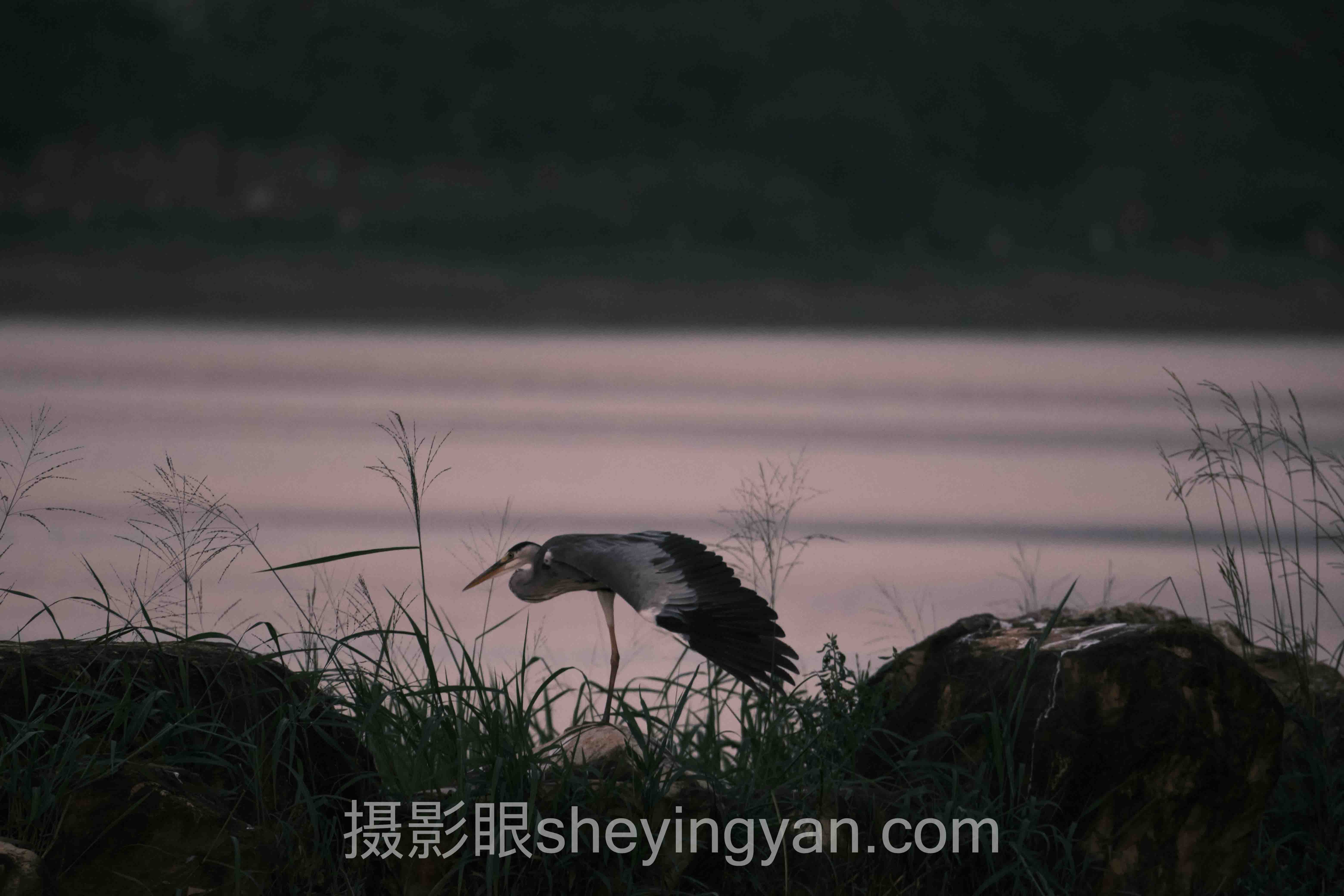 摄影眼平台长焦全景解读：问题根源与破局之道