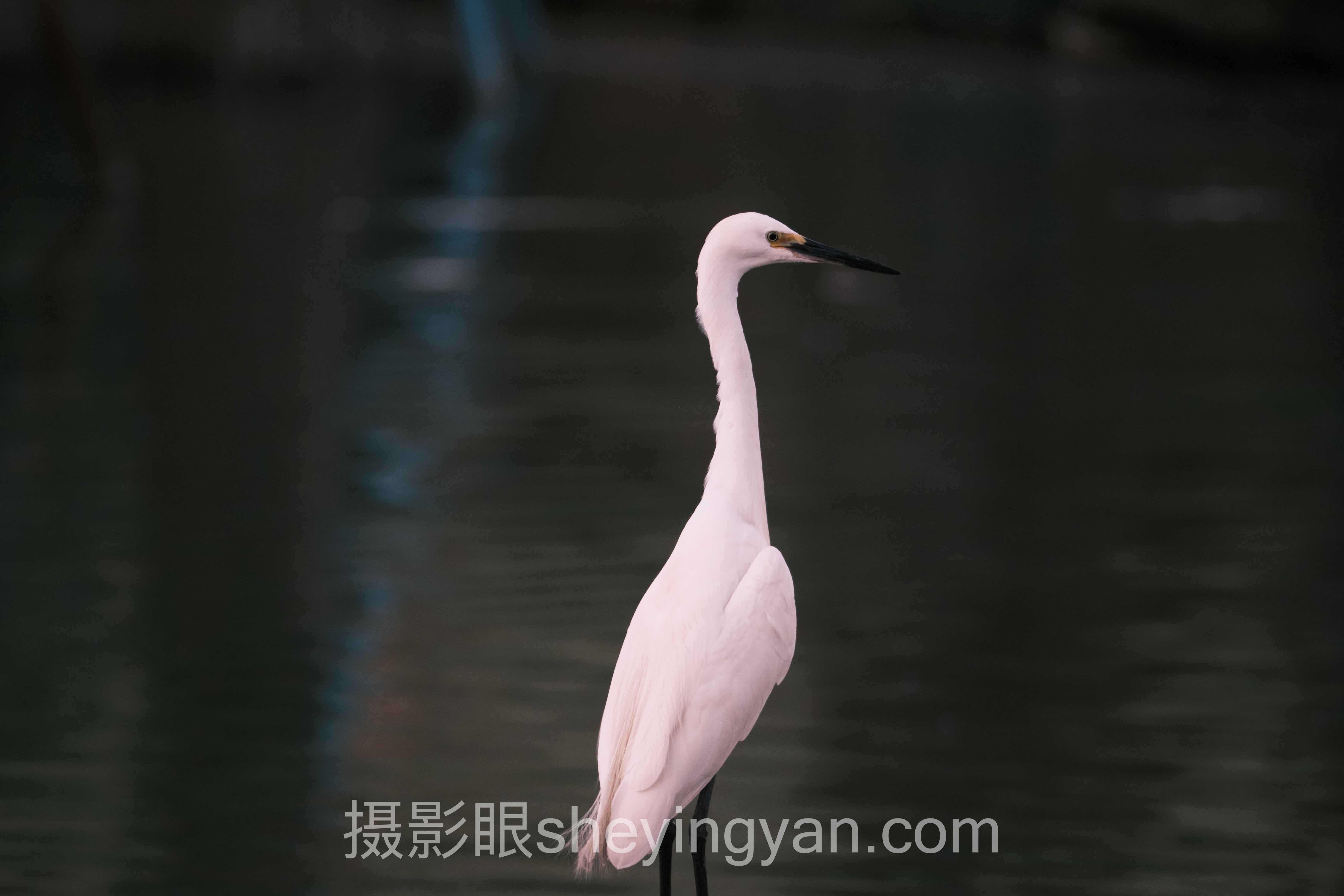 风光摄影眼养成背后的真相：多数人练错了方向